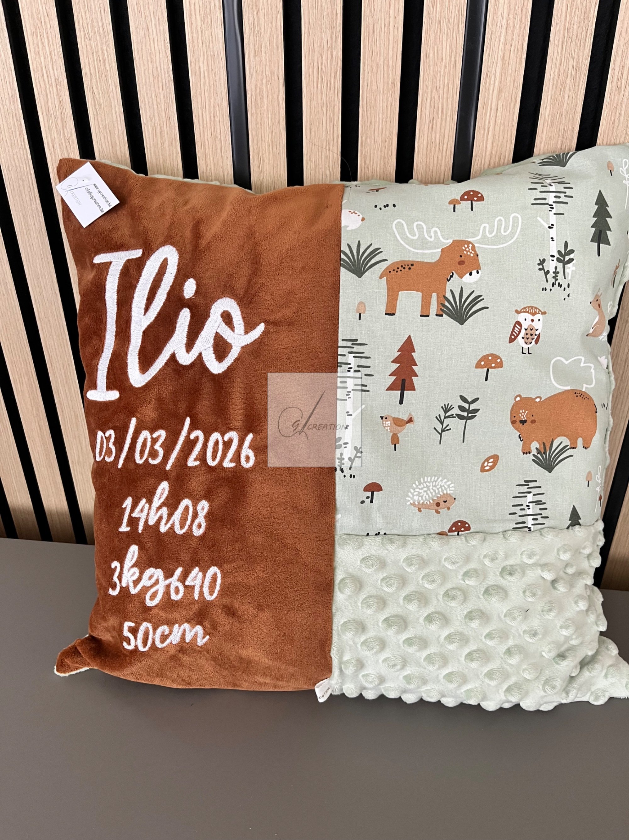 Coussin naissance Ilio